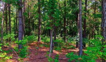 Arthur Drive, Brookhaven, MS 39601