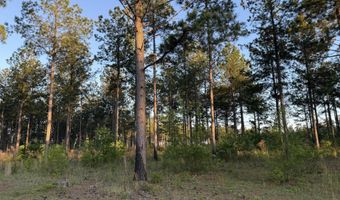 506 Nature Trl, Blackville, SC 29817