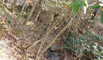 290 Angels Pass Dr Lot 1, Bastian, VA 24314