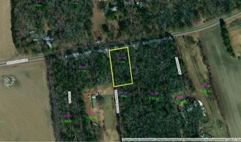 SHILOH CHURCH ROAD, Laurel, DE 19956