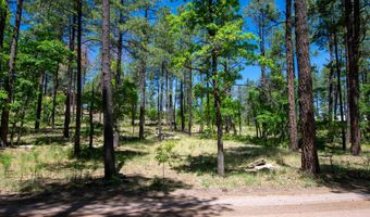 13 County Road N 2122, Alpine, AZ 85920