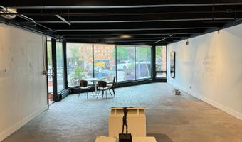 620 E Hyman Ave 2, Aspen, CO 81611