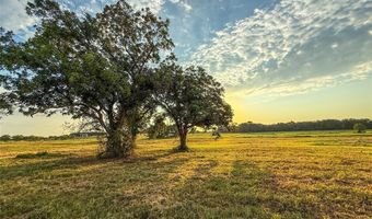 225 County Road 1475, Alvord, TX 76225