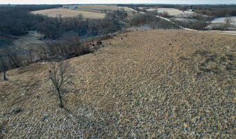 710 Th Ave, Albia, IA 52531