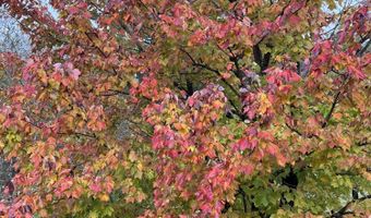 345 Big Bass Ln, Becket, MA 01223