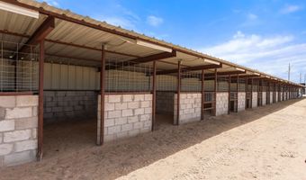 1624 VINTON Rd, Anthony, NM 88021