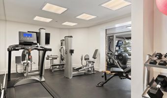 730 S Galena St, Aspen, CO 81611