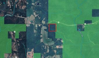 TBD Hwy. 29, Brooklyn, MS 39425