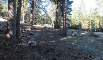 175 Silver Tip Dr, Bear Valley, CA 95223