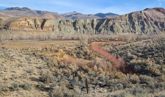 6 Homestead Trl, Challis, ID 83226