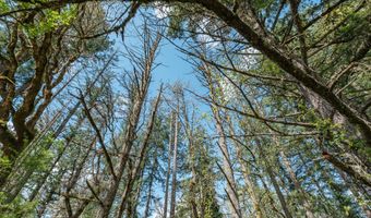 Valley View Dr NW, Albany, OR 97321