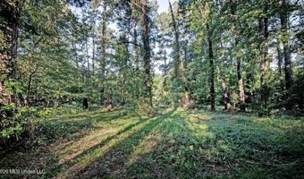 333 Lake Harbor Rd, Brandon, MS 39047