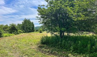 0 Woodland Hills Rd, Andes, NY 13731