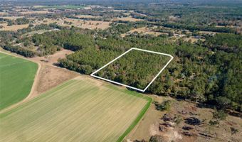 Tbd N COUNTY RD 1491, Alachua, FL 32615