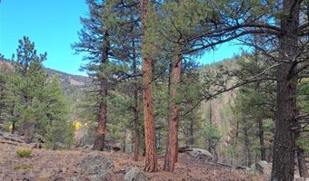1077 Roland Dr Lot 3, Bailey, CO 80421