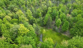 TBD OFF CR 426, Arnold, MI 49819
