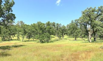 3528 Appaloosa Way, Angels Camp, CA 95222