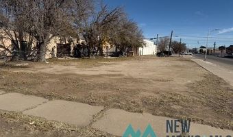 214 S Alameda St, Carlsbad, NM 88220