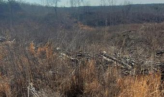 85 6+/- Acres County Road 2291, Booneville, MS 38829