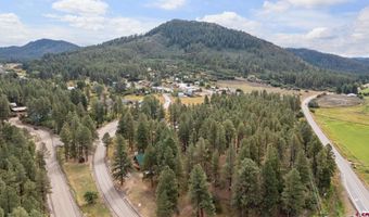 410 Timber Dr, Bayfield, CO 81122