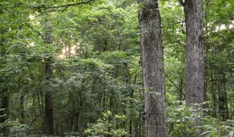Whiskey Creek Lane, Batesville, AR 72501