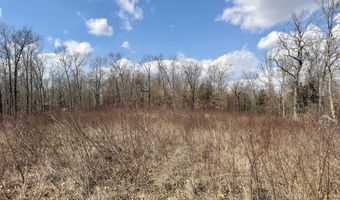 1790 County Rd A-435, Ava, MO 65608