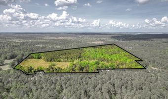6995 Cobbham Rd, Appling, GA 30802