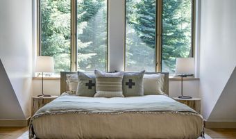 970 Powder Ln, Aspen, CO 81611