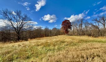 1520 Brittontown Rd, Afton, TN 37616