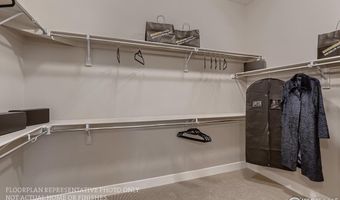 14111 Blue Stem St, Broomfield, CO 80020