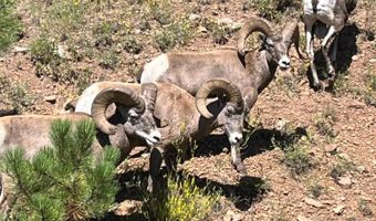 56 Co Rd 2266, Alpine, AZ 85920