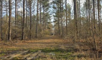U.S. Highway 51, Bogue Chitto, MS 39629