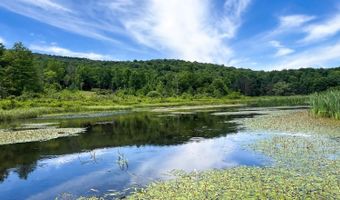 Woodland Hills Road, Andes, NY 13731