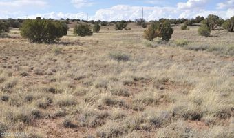 10 N9228, Concho, AZ 85924