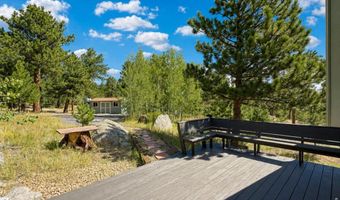 338 County Road 84 W, Allenspark, CO 80510