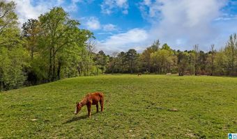 3237 MUD CREEK Rd, Adger, AL 35006