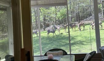 267 Back 9 Dr, Baneberry, TN 37890