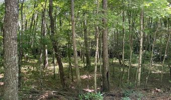 3 Clear Fork Creek Rd 31, Bastian, VA 24314