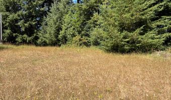 20452 WHALESHEAD Rd, Brookings, OR 97415