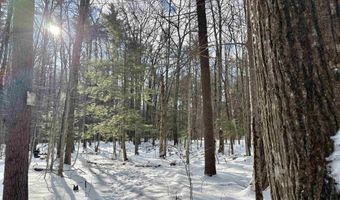Lot 80-1 Currier Road, Candia, NH 03034