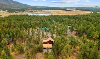 17 County Road 2195, Alpine, AZ 85920