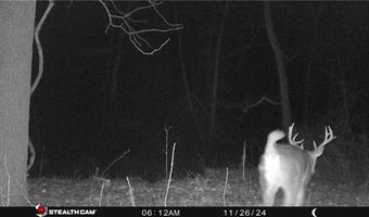 Chickadee Court, Agency, MO 64401