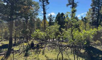 Calle de los Indios lot 101, Angel Fire, NM 87710