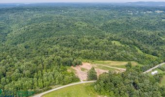 Tract # 24 Willis Creek, Albany, KY 42602