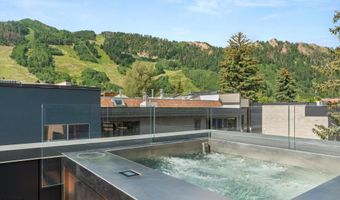 627 E Hopkins Ave, Aspen, CO 81611