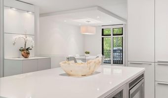 800 E Hopkins Ave A-3, Aspen, CO 81611