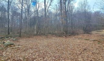 Glade Run Road, Albright, WV 26519