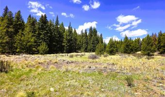 PCS # 10594 Looney Lane lot 0, Alma, CO 80420