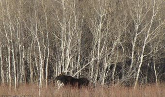 Tbd Rio Lane, Belfry, MT 59008