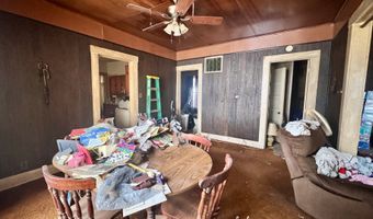 452 E Washington St, Arcola, IL 61910